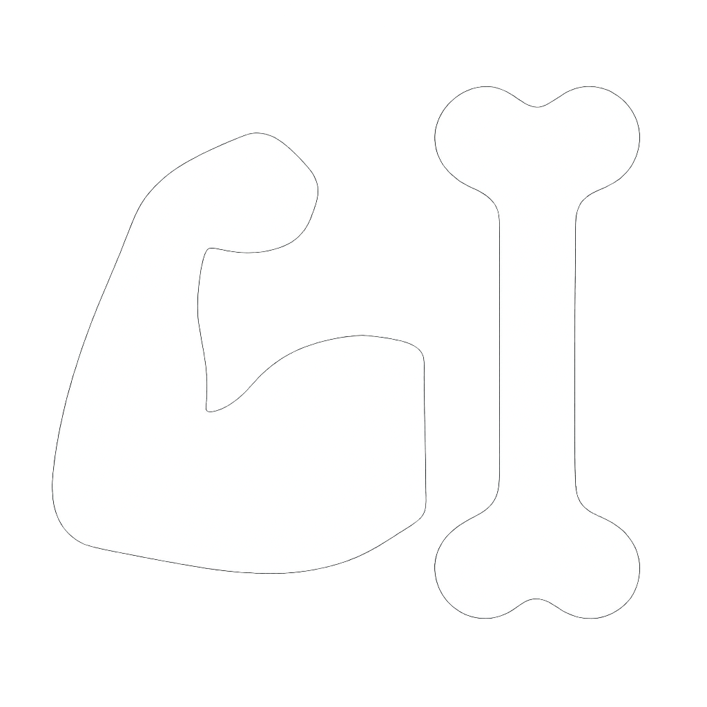 muscle and bone icon in white very simple no words filled in not a line drawing transparent background