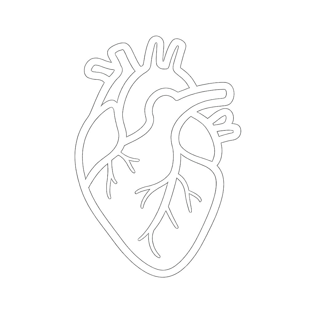 simple white on transparent icon of a heart anatomical no text-1