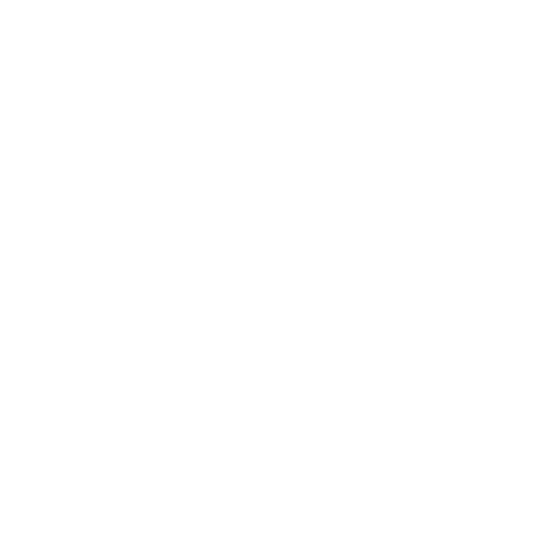 healthy weight icon