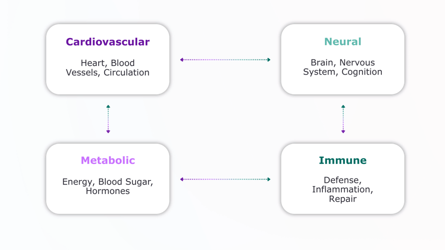 interconnected systems