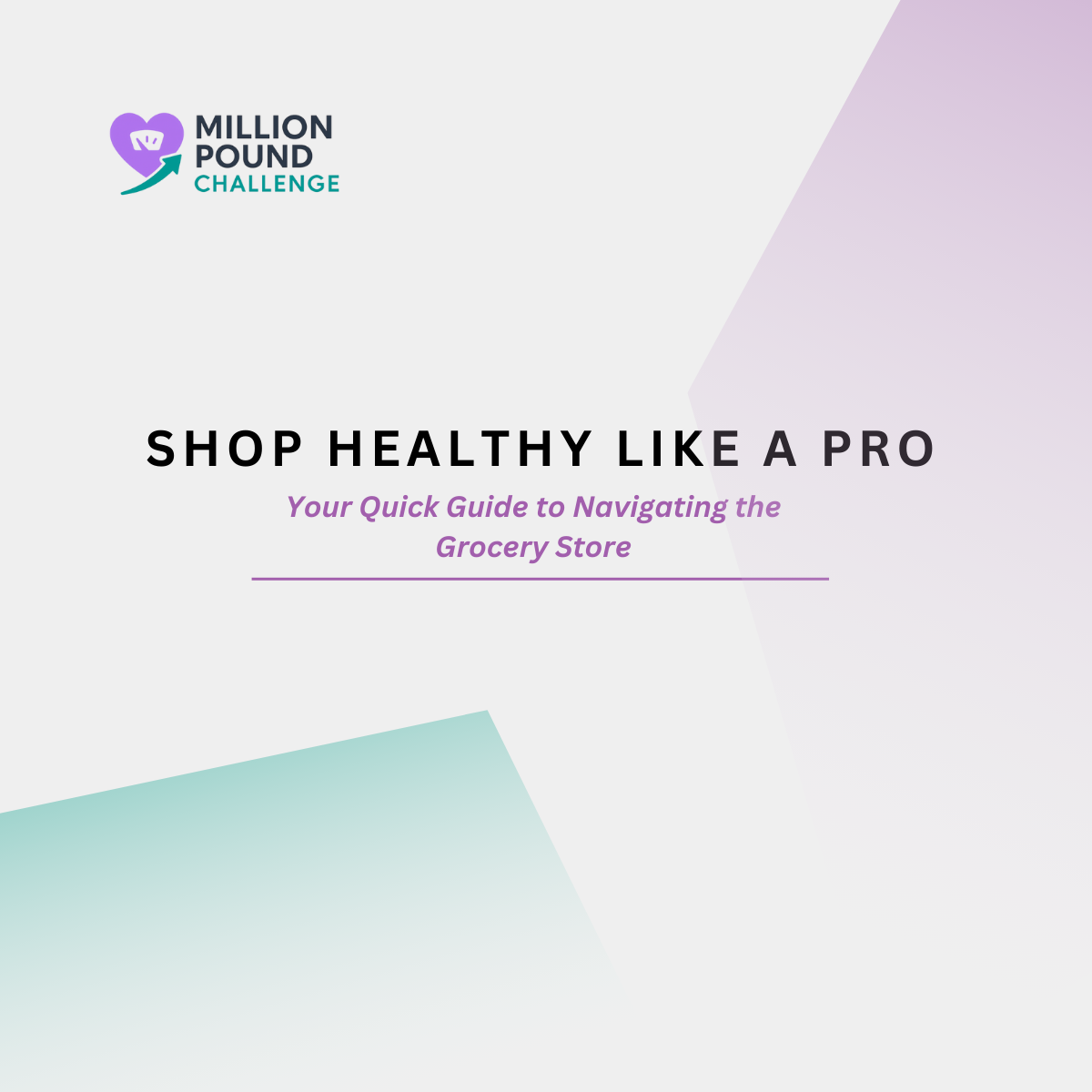 mpc one pager img  (3)